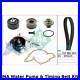 INA Water Pump & Timing Belt Kit (Engine, Cooling) 530 0178 30 OE Quality