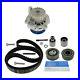 SKF Water Pump and Timing Belt Set Kit VKMC 01251 For AUDI SEAT SKODA VW